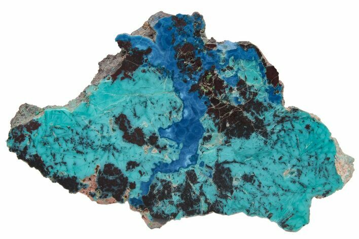 Colorful Chrysocolla and Shattuckite Slab - Mexico #227890